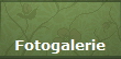 Fotogalerie